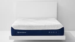 M5 Mattress Mattress Photo