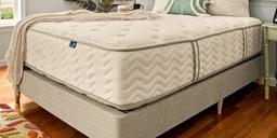 DLX Classic Mattress Mattress Photo