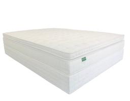 Palmpring Mattress Photo