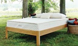 Savvy Rest Mattress Photo