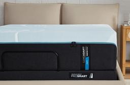 TEMPUR-LuxeAdapt Mattress Photo