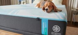 Tempur LuxeBreeze Hybrid Mattress Photo