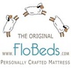 FloBeds Posture vZone logo