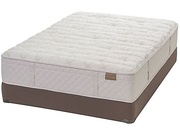 Aireloom Preferred Sierra Copper Lily Firm picture