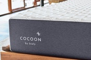 Cocoon Classic Firm picture
