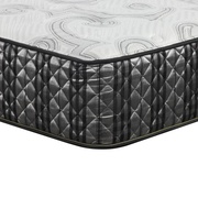 Corsicana Fitzgerald Platinum Plush picture