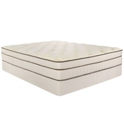 Englander Dreamer 100% Latex 12-Inch picture