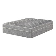 Five Star Roxwell Plush picture
