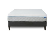 Idle 12" Dual Firmness picture