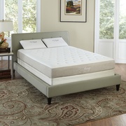 Nature's Sleep 8.5" Belize picture