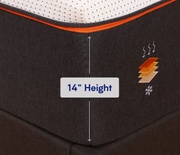 Nectar Premier Copper (2021-2024) picture
