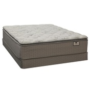 Omaha Bedding Berkshire Regent Plush PillowTop picture