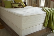 PlushBeds Botanical Bliss 12" Firm picture