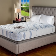 PranaSleep Karma Sky Super Cush picture