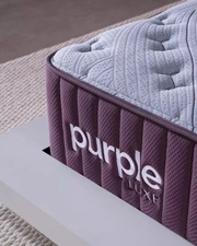 Purple Rejuvenate (2023-2025) picture