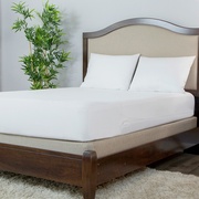 Protect-A-Bed Allergen-Free, Dust Mite & Waterproof 10-Inch Memory Foam picture