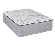Sealy 13" Cushion Firm picture