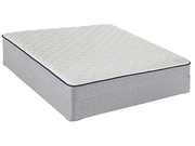 Sealy Castra Firm picture