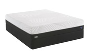 Sealy Conform Performance Fondness Cushion Firm picture