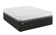 Sealy Conform Premium Wondrous Ultra Plush picture