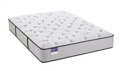 Sealy Crown Jewel Performance Inspirational Precision Cushion Firm picture