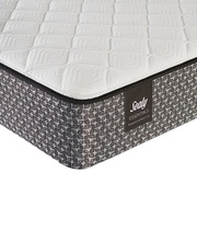 Sealy Essentials Blue Arbor Firm picture