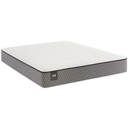 Sealy Essentials Goldberg Firm picture