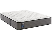 Sealy Gratify Plush picture