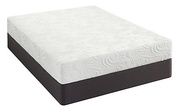 Sealy Optimum Destiny Gold picture