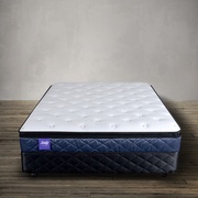 Sealy Optimum Perfect Rest Davida picture
