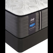 Sealy Overjoyed Cushion Firm picture
