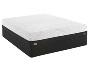 Sealy Posturepedic Fondness Cushion Firm picture