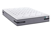 Sealy Posturepedic Sedgebrooke 15'' Cushion Firm picture