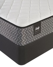 Sealy Response Essentials Castra IV Firm picture