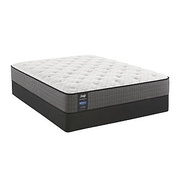 Sealy Response Performance Benish Cushion Firm Euro Top picture