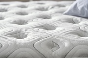 Sealy Response Performance Dolby Plush picture
