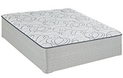 Sealy Seward 15.2" Plush picture