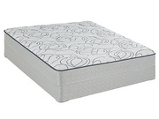 Sealy Seward Plush picture