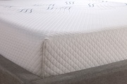 Sealy Wave Memory Foam 8 picture