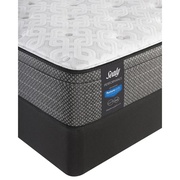Sealy Performance Wheeling Euro Top picture