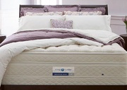 Sleep Number Innovation i10 bed picture