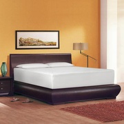 Serenia Sleep 14" picture