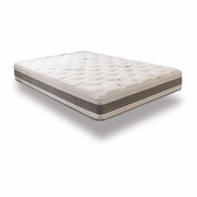 Serta Forestvale Plush picture