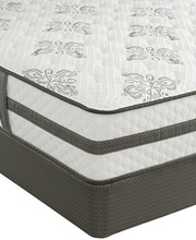 Serta Perfect Sleeper Gentle Retreat Cushion Firm picture