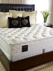 Serta Trump Home picture