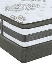 Serta Soothing Retreat Plush Euro Top picture