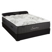 Sherwood Encore Patriarch Super Plush picture