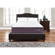 Sierra Sleep Limited Edition Firm picture