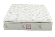 Signature Sleep Coil Signature 13" picture
