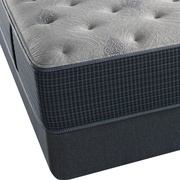 Beautyrest Silver Grays Reef Plush picture